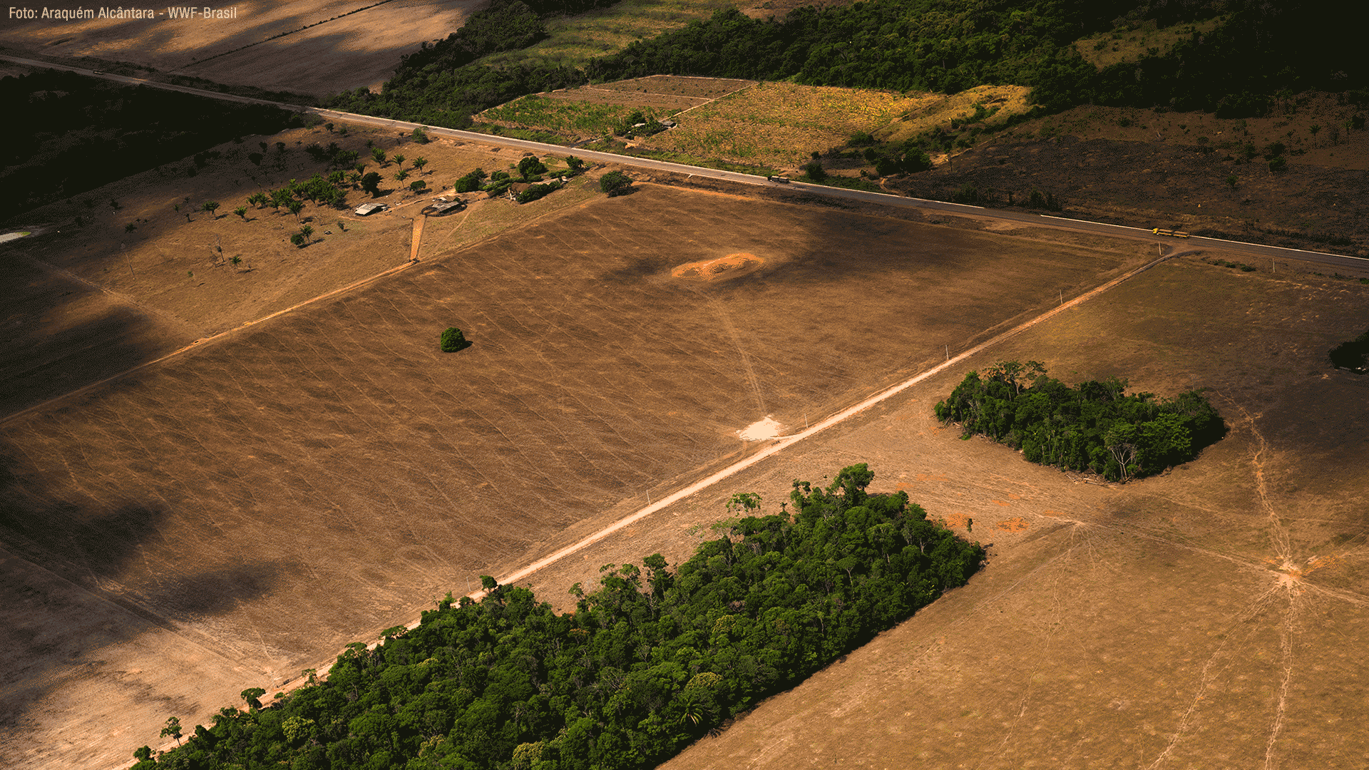 What is the relationship between land grabbing and corruption?