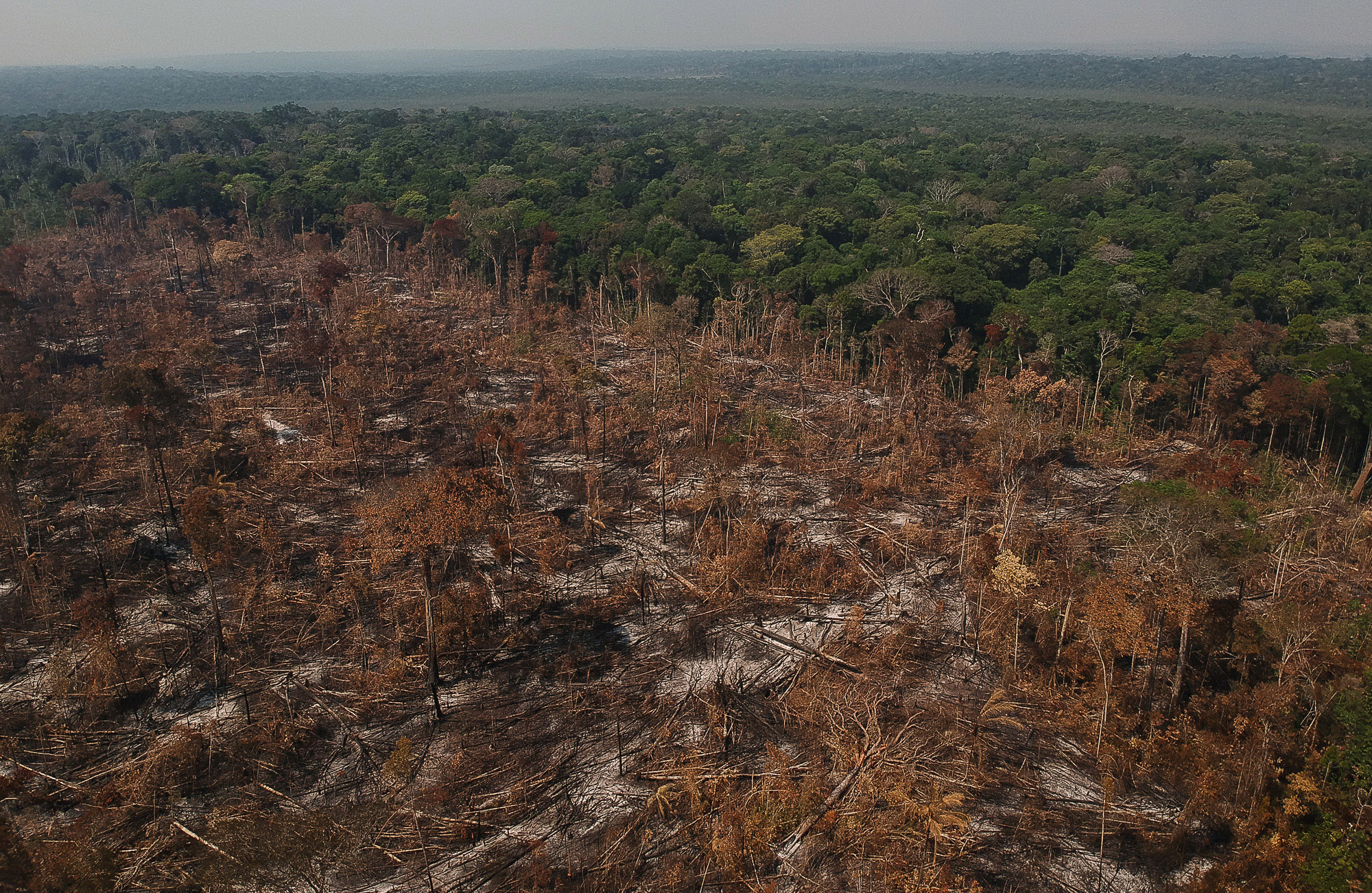 Area de floresta derrubada e queimada e vista na regiao da vicinal do Salomao, no municipio de Apui, Amazonas. Foto: Bruno Kelly/Amazonia Real.