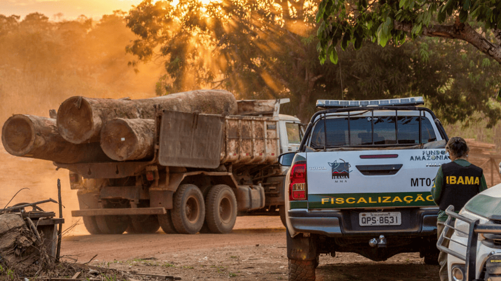 Ibama, Exército e Polícia Militar de Rondônia fiscalizam cadeia de custódia da madeira e desmatamento ilegal em Espigão do Oeste (RO), em 2018. Foto: Fernando Augusto/Ibama