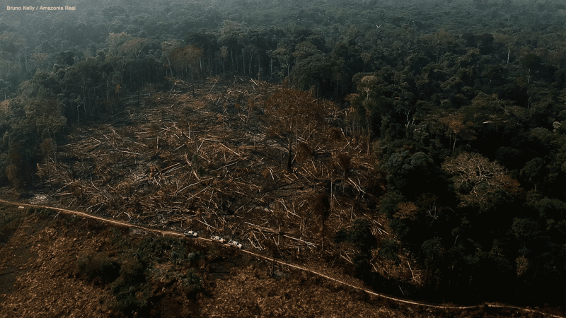 20210706 TIBR Arte Final Blogpost FT Amazonia