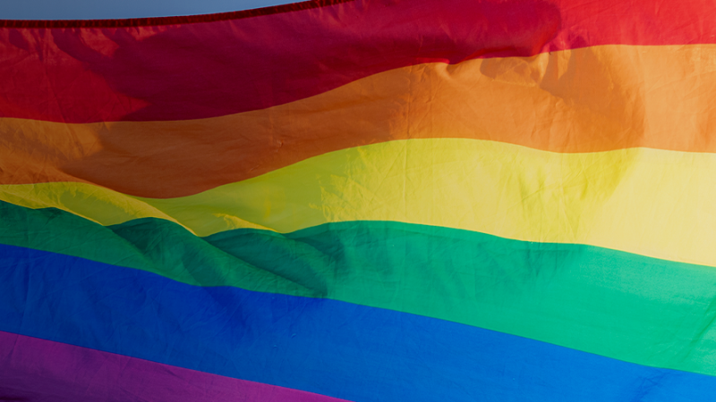 Banner_Artigo_Direitos LGBT_Corrupcao_02