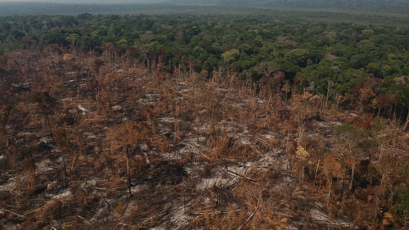 Area de floresta derrubada e queimada e vista na regiao da vicinal do Salomao, no municipio de Apui, Amazonas. Foto: Bruno Kelly/Amazonia Real.