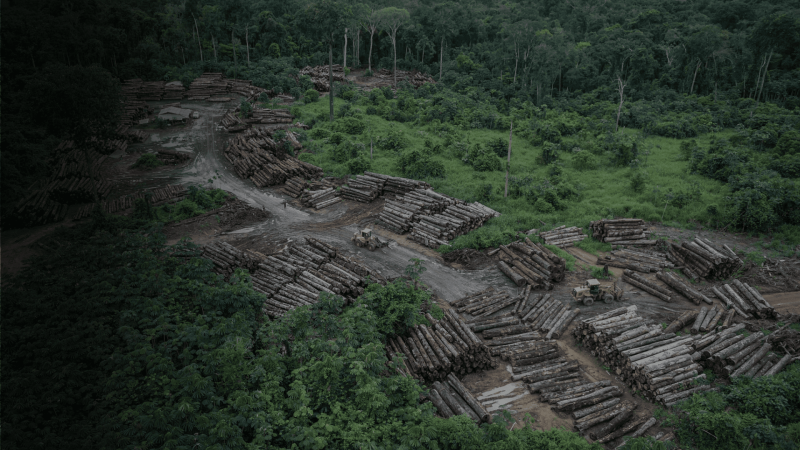 bg_ocde-wwf